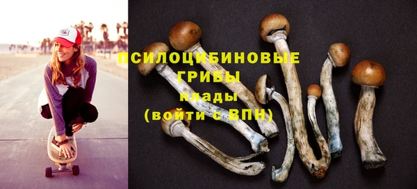 герыч Абаза