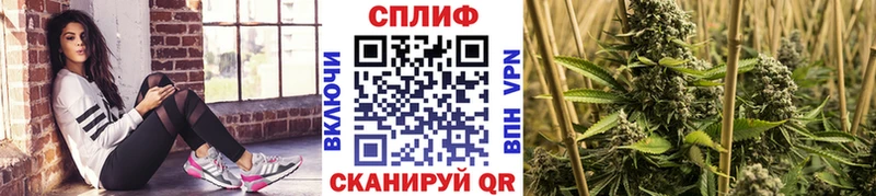 Бошки Шишки конопля  купить закладку  Азнакаево 
